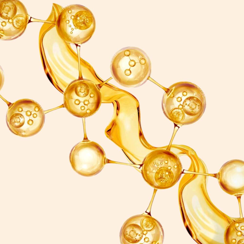 Hydrolyzed Silk Protein Hydrolyzed Silk Protein